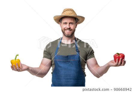 greengrocer in apron and hat with sweet pepper vegetable isolated on white greengrocer in apron and hat with sweet pepper vegetable isolated on white 98668942
