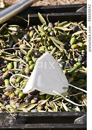 Mask, on olives collected in a drawer 98669842