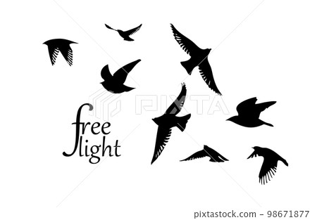 A flock of flying birds. Free birds. Vector illustration 98671877