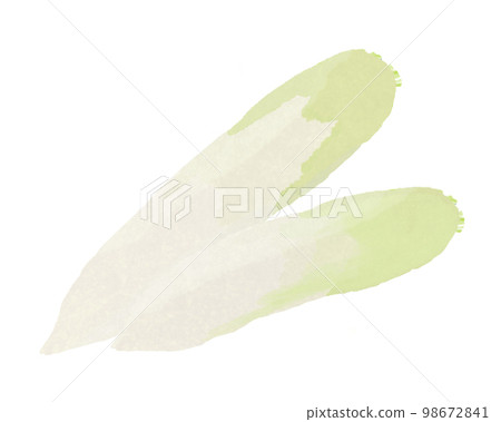 Agriculture/home garden series: 2 harvested radishes, dried green neck radishes for pickles Agriculture/home garden series: 2 harvested radishes, dried green neck radishes for pickles 98672841