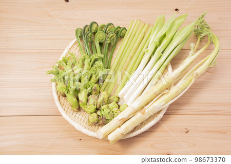 Spring vegetables, edible wild plants, gathering 98673370