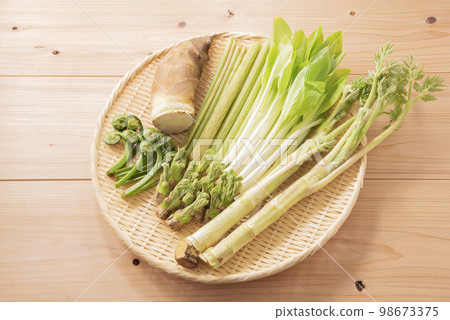 Spring vegetables, edible wild plants, gathering 98673375