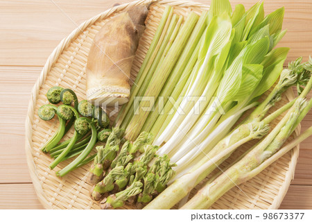 Spring vegetables, edible wild plants, gathering 98673377