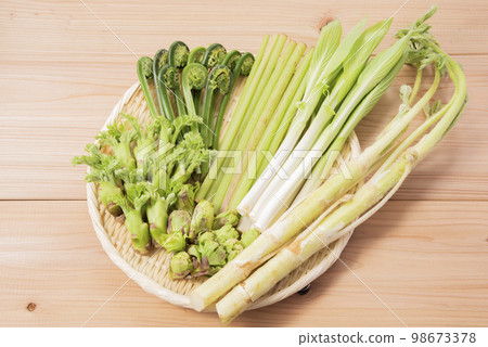 Spring vegetables, edible wild plants, gathering Spring vegetables, edible wild plants, gathering 98673378