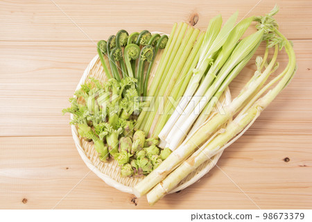 Spring vegetables, edible wild plants, gathering 98673379