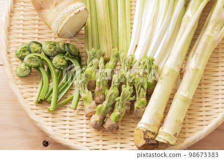 Spring vegetables, edible wild plants, gathering 98673383