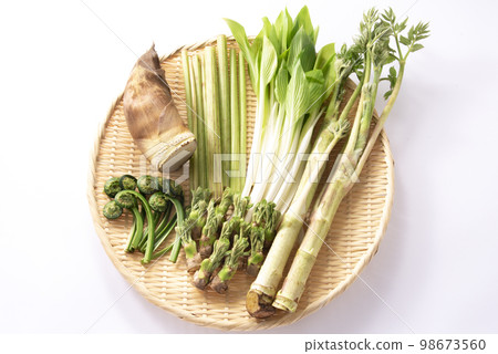Spring vegetables, edible wild plants, gathering Spring vegetables, edible wild plants, gathering 98673560