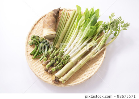 春天的蔬菜，野菜，採集 98673571