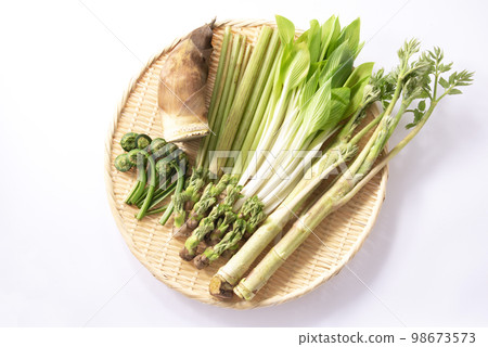 Spring vegetables, edible wild plants, gathering Spring vegetables, edible wild plants, gathering 98673573