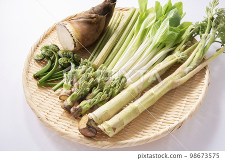 春天的蔬菜，野菜，採集 98673575