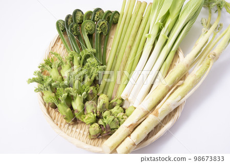 Spring vegetables, edible wild plants, gathering 98673833