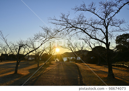 Sunrise scenery 98674073