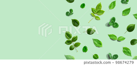 Green leaf border design background Green leaf border design background 98674279