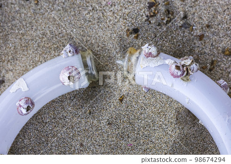 粘有藤壺的漂流熒光燈管 粘有藤壺的漂流熒光燈管 98674294