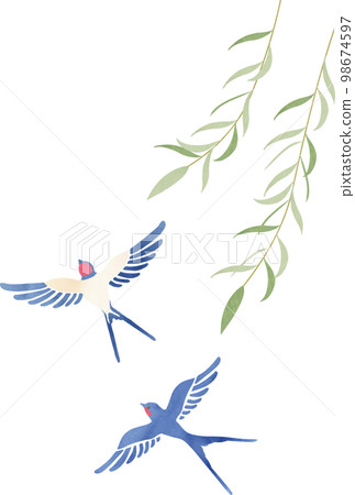 Swallow and willow illustration 98674597