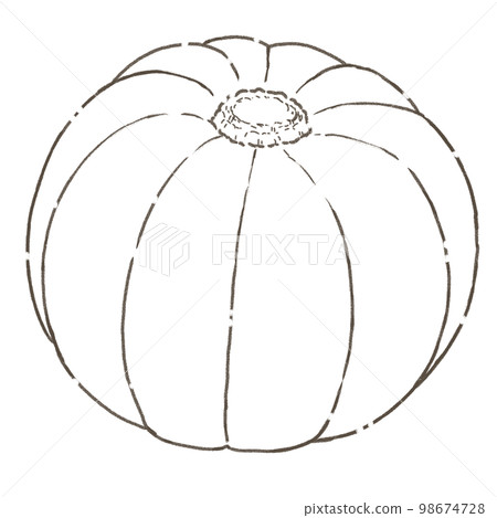 Summer vegetable pumpkin monochrome line drawing Summer vegetable pumpkin monochrome line drawing 98674728