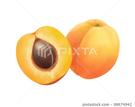 Illustration material (watercolor) of beautiful apricot fruit (some cut in half) 98674942