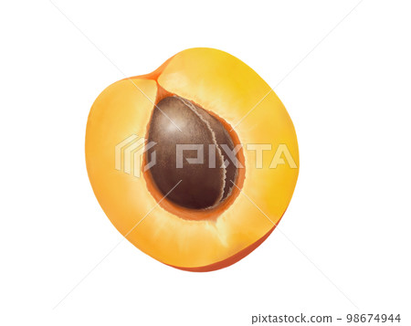 Illustration material of apricot fruit (with seeds) cut in half (watercolor) 98674944