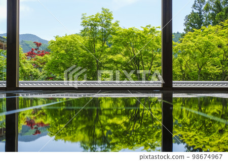 Fresh green reflected on the floor Fresh green reflected on the floor 98674967