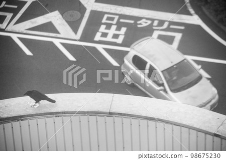 Crows resting their wings on the rooftops of a group of buildings and a white light car exiting the roundabout Crows resting their wings on the rooftops of a group of buildings and a white light car exiting the roundabout 98675230