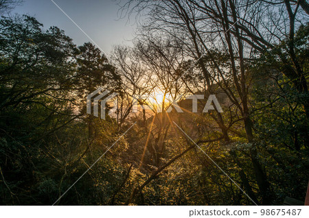Sunset seen from Mt. Inari, Kyoto 98675487