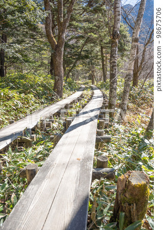 Early winter alpine plants seen on the ridgeline of Mt. Nishihotaka in the early morning under clear skies Walking through Kamikochi under clear skies Early winter alpine plants seen on the ridgeline of Mt. Nishihotaka in the early morning under clear skies Walking through Kamikochi under clear skies 98675706