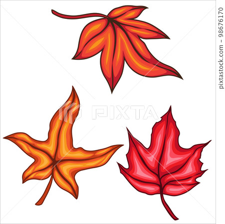 Set of three maple leaves 98676170