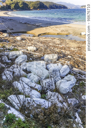 許多泡沫漂浮物被沖上岸 98676710