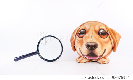 A small round dog puppy is next to magnifying glass on white background. Vet check. Curious puppy. Interest, Study, Curiosity. 98676905