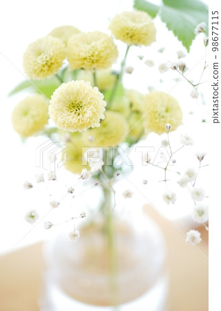 Mum and Gypsophila Flower Arrangement [Spring] [Autumn] 98677115