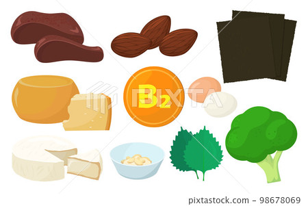 Vector illustration of food containing vitamin B2. 98678069