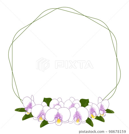 Phalaenopsis cute watercolor illustration frame material 98678159