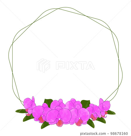 Cute watercolor illustration frame material of pink Phalaenopsis orchid 98678160