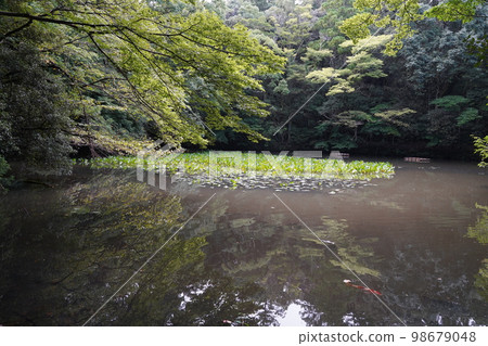 Ise Grand Shrine, Ise Jingu, Japan, Mie Prefecture, Ise, Shrine, Jingu, Jingu, Amaterasu Omikami, Amaterasu Sume Ise Grand Shrine, Ise Jingu, Japan, Mie Prefecture, Ise, Shrine, Jingu, Jingu, Amaterasu Omikami, Amaterasu Sume 98679048