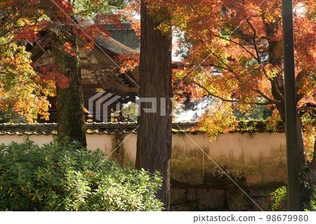 Autumn leaves of Kikko Park 98679980