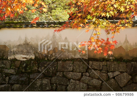 菊光公園的紅葉 菊光公園的紅葉 98679986