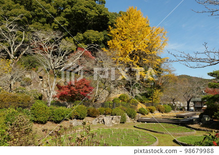 Autumn leaves of Kikko Park 98679988