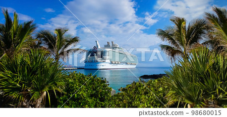Abstract cruise ships or big liners in open water with tropic palm background . 98680015