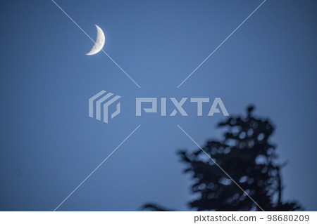 高山植物在冬天和滿月時枯萎 98680209