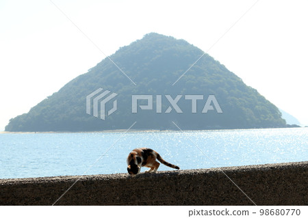 An island and a cat floating in the Seto Inland Sea An island and a cat floating in the Seto Inland Sea 98680770