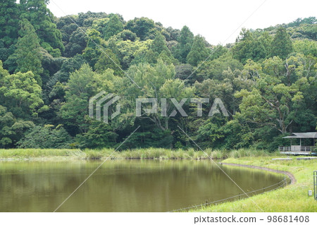 Ise Jingu, Outer Shrine, Ise Jingu, Japan, Mie Prefecture, Ise, Shrine, Jingu, Jingu, Toyouke Omikami, Toyouke no Omi 98681408