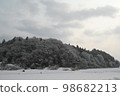 Snow scenery (countryside/cloudy) 98682213