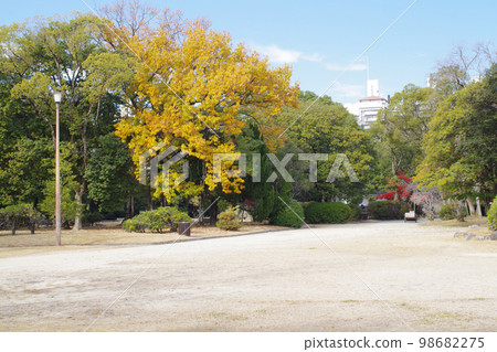 有秋葉的廣島城堡公園風景 有秋葉的廣島城堡公園風景 98682275