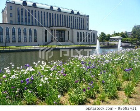 葛西親水綠道鳶尾（埼玉縣越谷市） 98682411