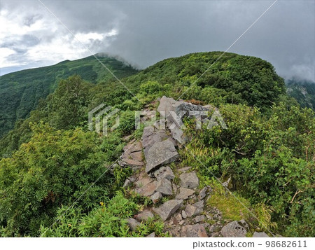 The summit of Mt. Shokanbetsu seen from the trail 98682611