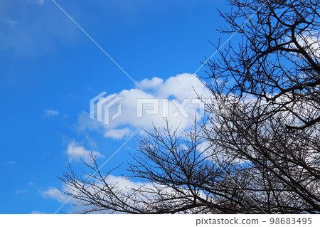晴朗的天空在冬天 晴朗的天空在冬天 98683495