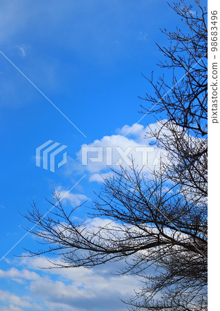 晴朗的天空在冬天 晴朗的天空在冬天 98683496