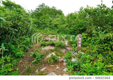 Mt. Shokanbetsu's 4th station marker 98683868