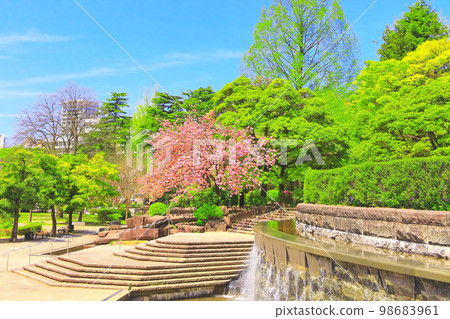 新綠琴台公園 98683961
