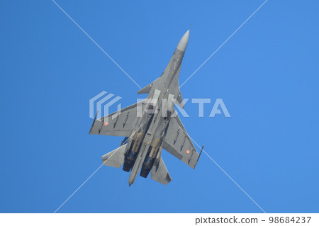 印度空軍蘇霍伊 Su-30MKI 升起 98684237